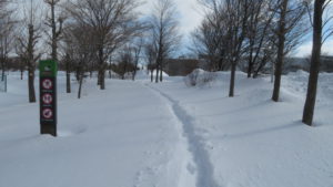 [札幌恵庭自転車道]雪に埋もれた自転車道