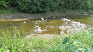 真駒内川の河床に露出した岩盤