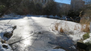 凍り付いた南の池