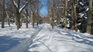 雪の園路